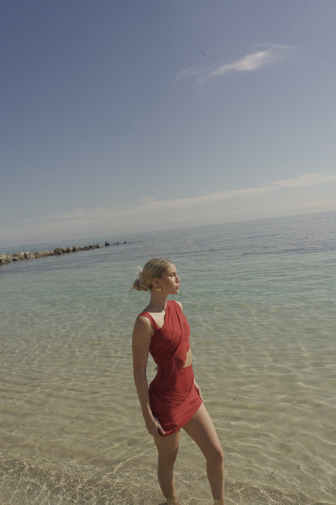 Asta / Red Wine - Skirt